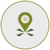ico_regione