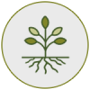ico_resilience